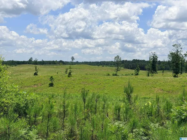 561 Lakewood Dr, Columbiana, AL 35051