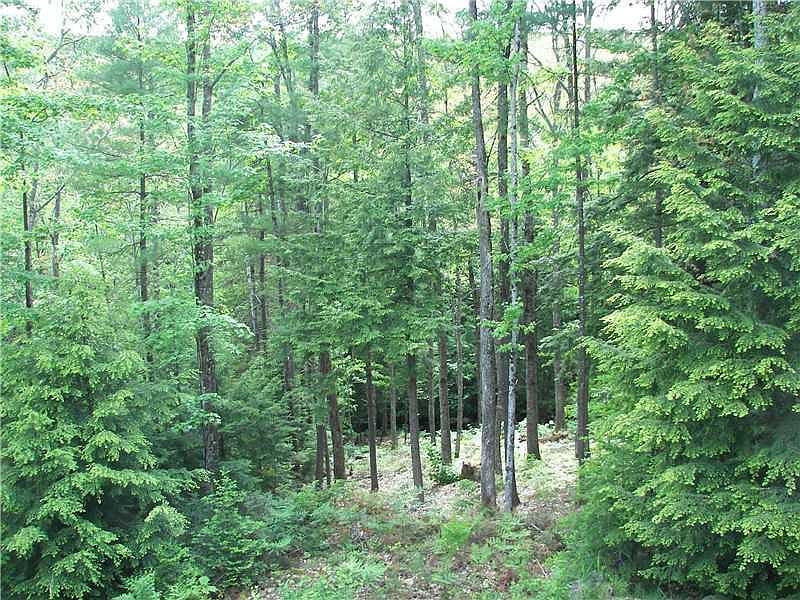1st image of 279 Hemlock Estates