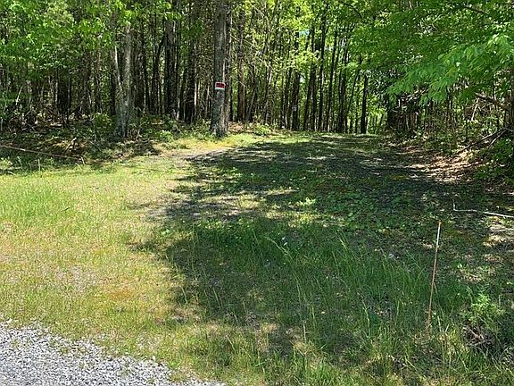 4th image of N Chinquapin Ln