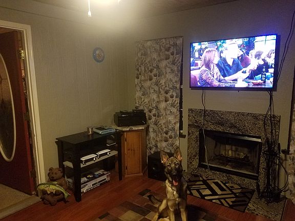 Fireplace in sunroom/den
