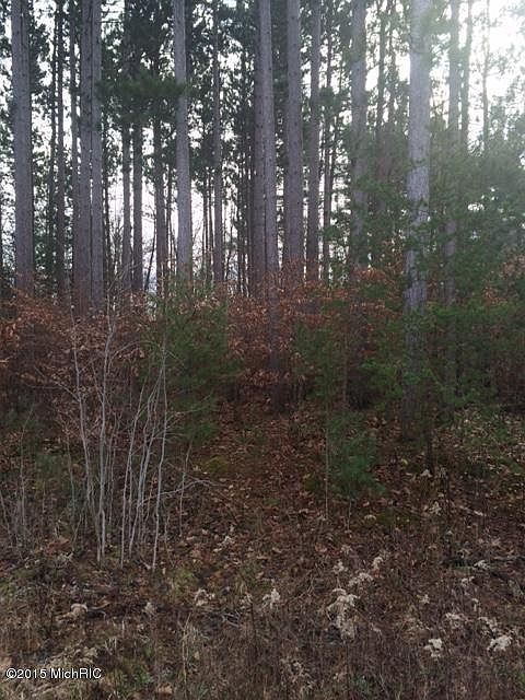 2nd image of 13386 Windy Crag Dr