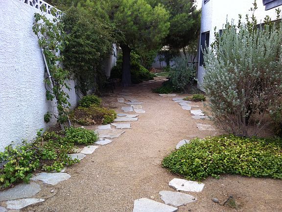 sideyard