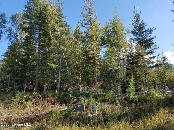 113 Trail Blazer Ct, Pinehurst, ID 83850