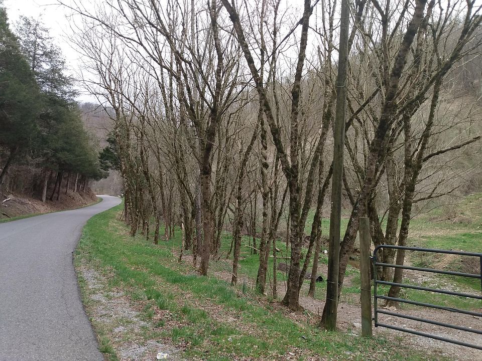 0 Route 600, Blackwater, VA 24221 Zillow