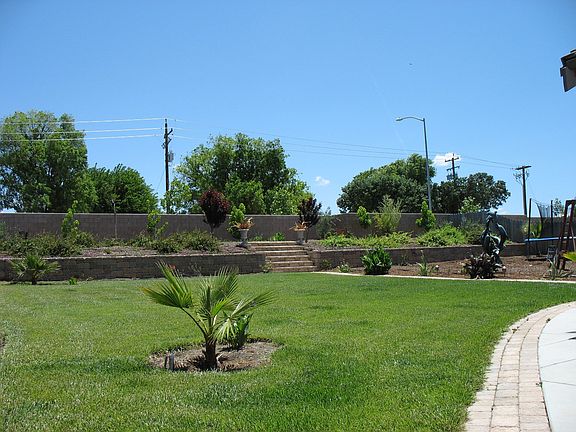 Very Large Landscaped Backyard 