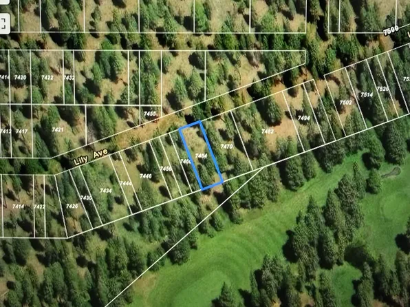 7464 Lily Ave, Tahoe Vista, CA 96148