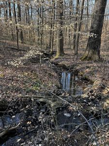 1232 W Point Rd, Lawrenceburg, TN, 38464
