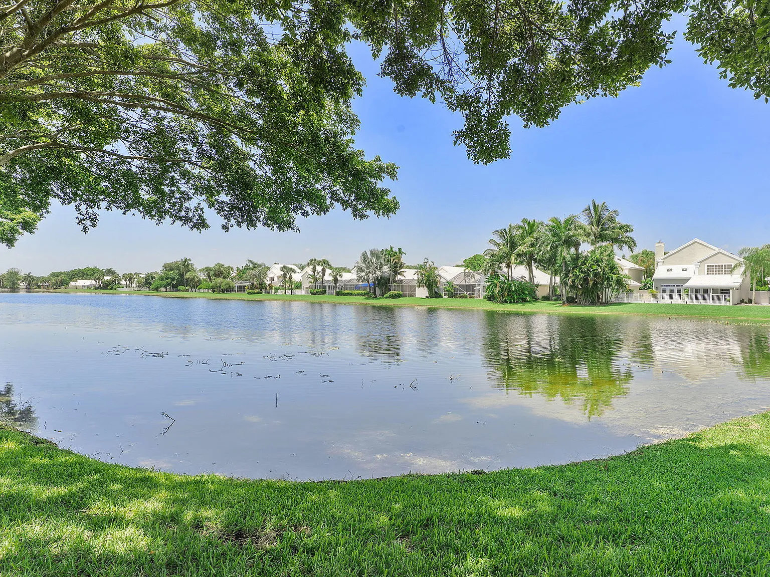 3 bed, 2.0 bath, 1536 sqft, $3,700 — Photo 1