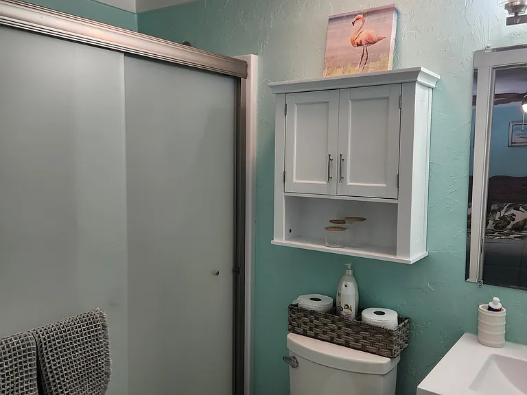 Bathroom with walk-in shower