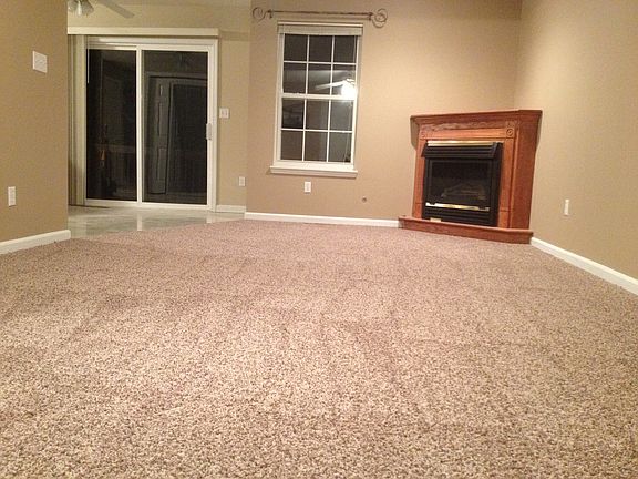 Living room and fireplace