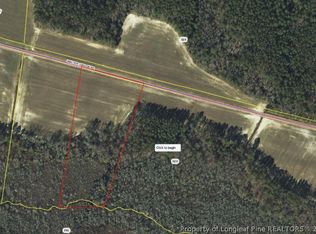 Walter Gilbson Tract Rd #4, Red Springs, NC 28377