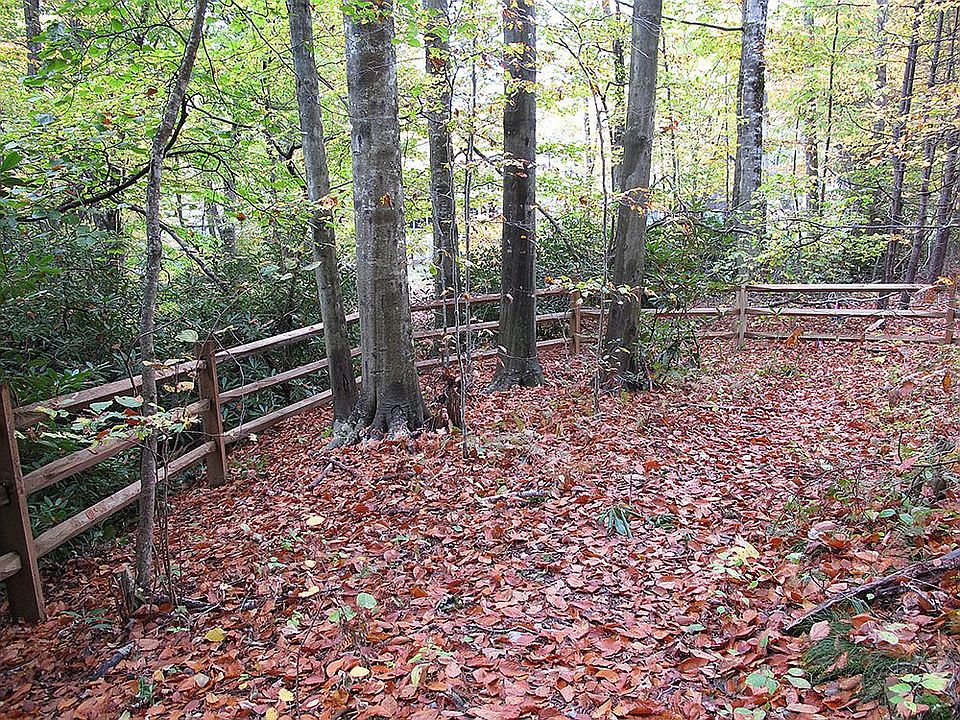 2nd image of 128 Rhododendron Ln