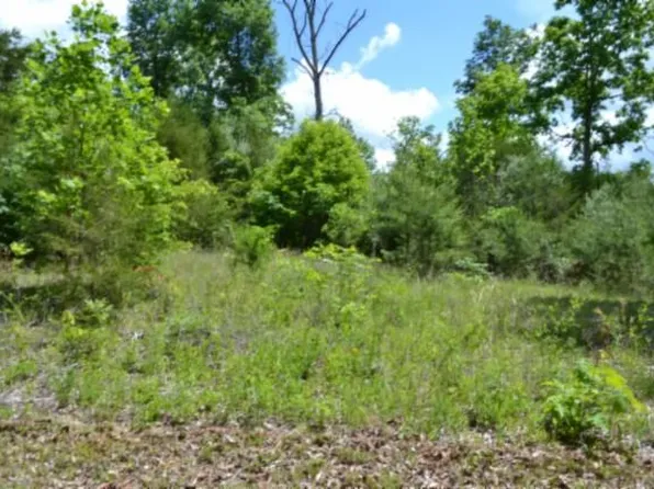 3122AC Beauchamp Rd, Burkesville, KY 42717