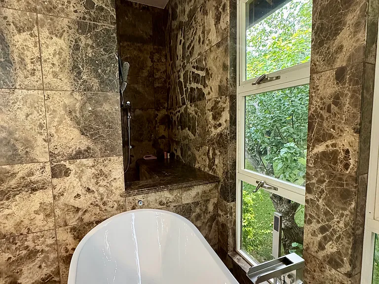 Soaking Tub View of Shower