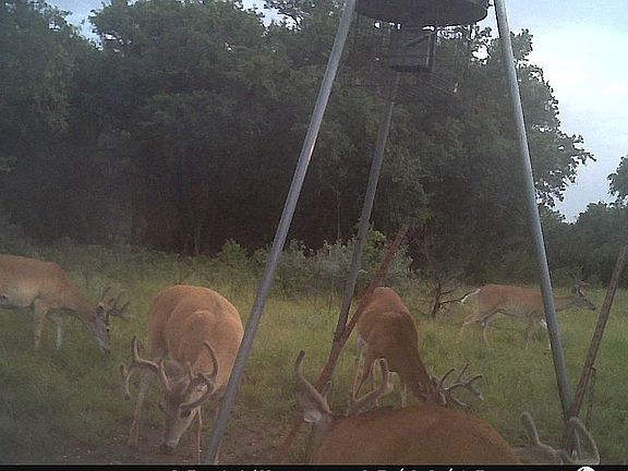 3rd image of 81 County Road 412