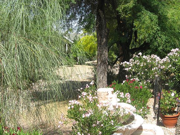 BACK PATIO TO THE EAST