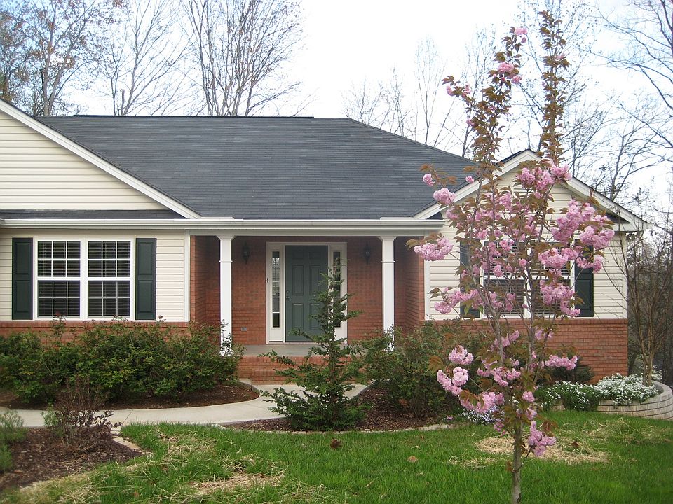 Kwanzan Cherry Tree and Rose bushes