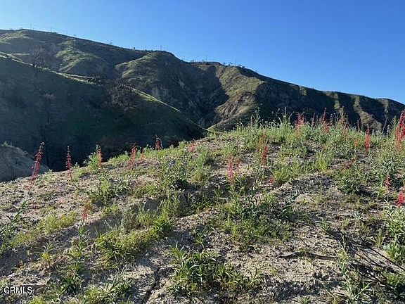 2nd image of 31029 Hasley Canyon Rd #31