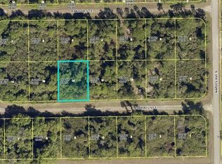 1239 Raphael St E, Lehigh Acres, FL 33974