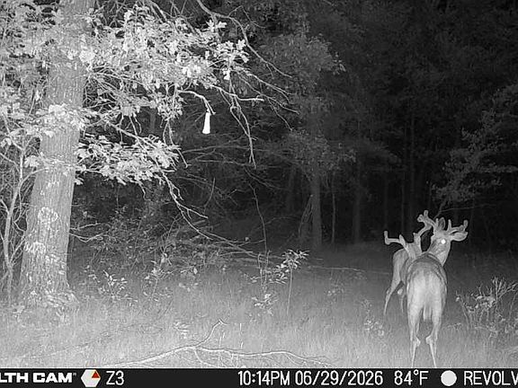 3rd image of 529 Beaver Ave