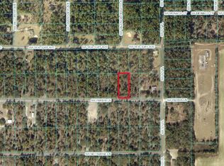 TBD SW PAPAYA LANE LOT 45, DUNNELLON, FL 34431