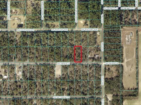 TBD SW PAPAYA LANE LOT 45, DUNNELLON, FL 34431
