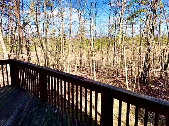 View from kitchen door/deck to north (Monticello & Montalto closeup, Blue Ridge Mntns in distance