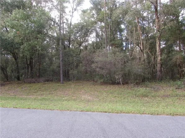 962 E Abend Dr, Citrus Springs, FL 34434