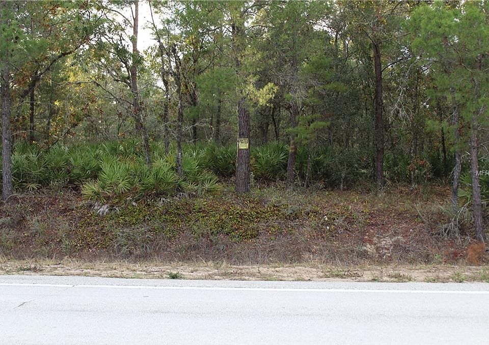 2nd image of Walk In Water Rd