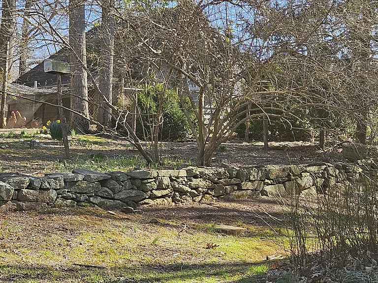 Taylor Creek Rd — Photo 35