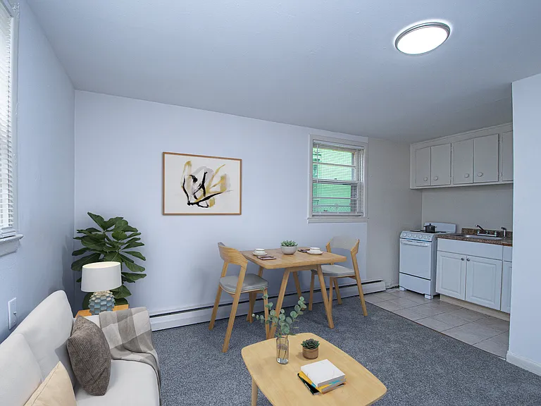 100 Flatbush Ave #B2 — Photo 10