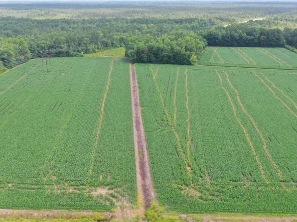 Tbd Pelham Road, Watha, NC 28478