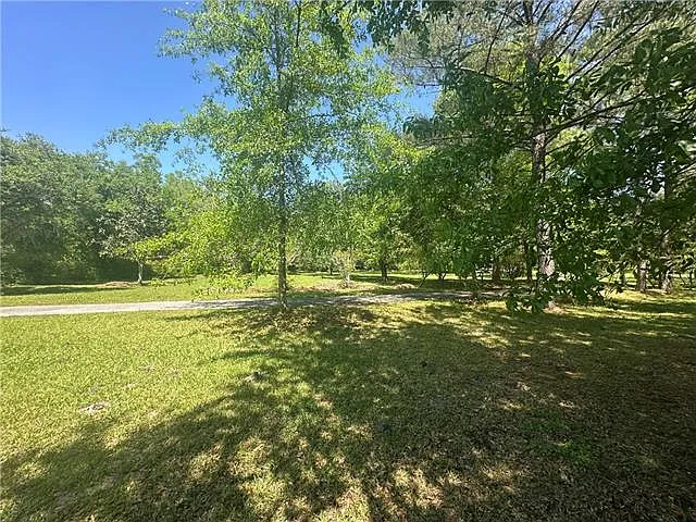 34164 Camelia Farm Ln — Photo 20