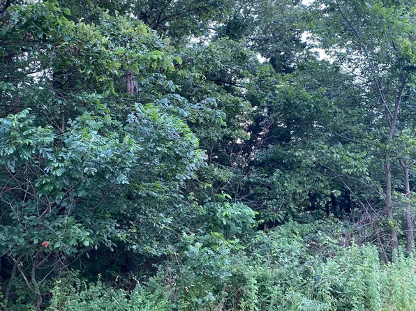 000 Rebas Mulberry, Fordland, MO 65652