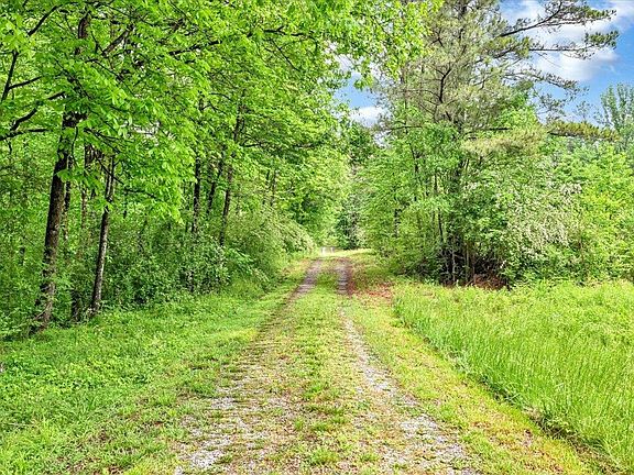 2nd image of 834 County Road 1634