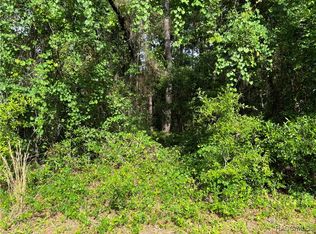 11312 N Fuego Dr, Citrus Springs, FL 34434