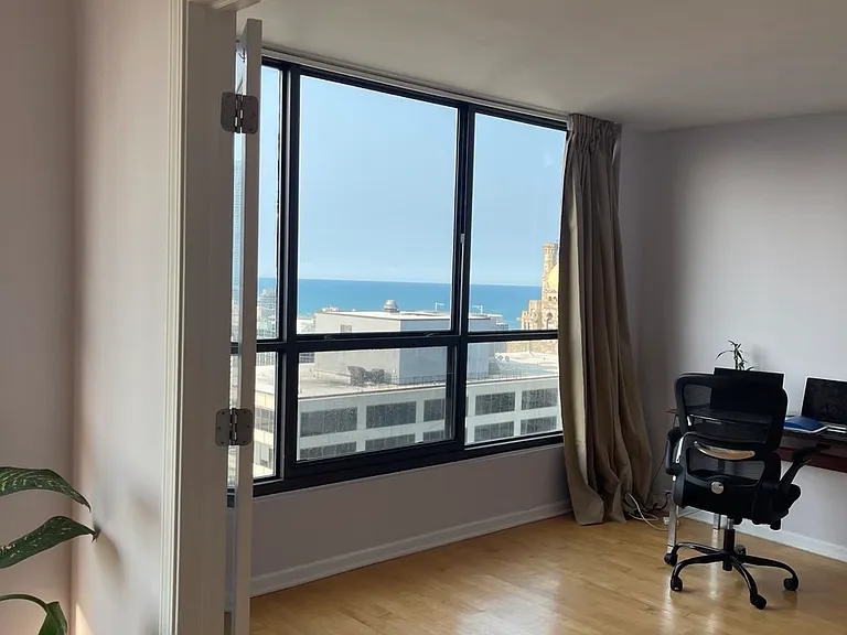 405 N Wabash Ave #4711 — Photo 3