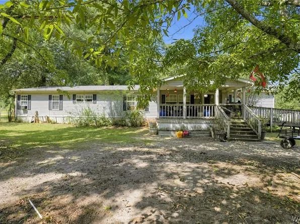 310 County Rd, Elba, AL 36323