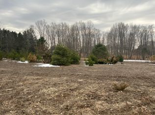 Quarter Line Rd, Manistee, MI 49660