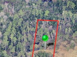 525 Brasher Rd, New Smyrna Beach, FL 32168