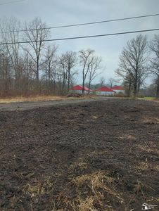 26261 Karr Rd, Belleville, MI, 48111