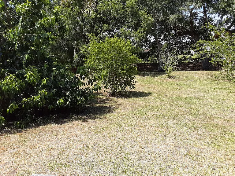 5619 Colonial Oaks Blvd — Photo 35