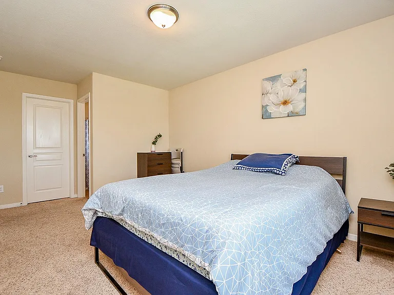 4302 Trinity Creek Ct — Photo 27