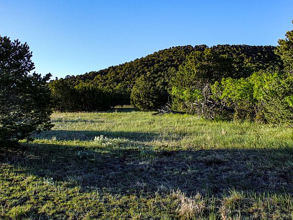 4th image of La Veta Pines Ranches Rd Lot 15