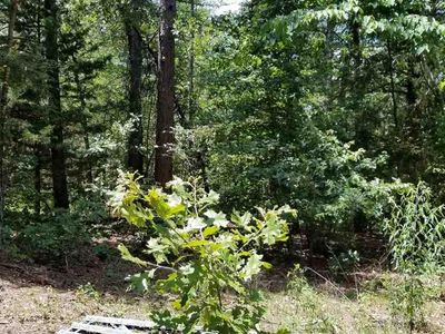 Tbd Hickory Hill Rd, Longview, TX, 75605