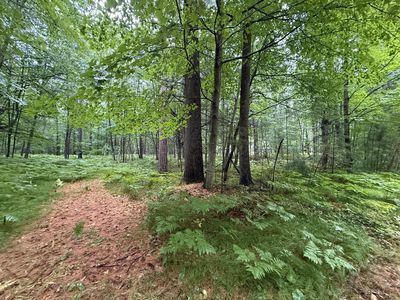 3674 Sterling Dr, Rhinelander, WI, 54501