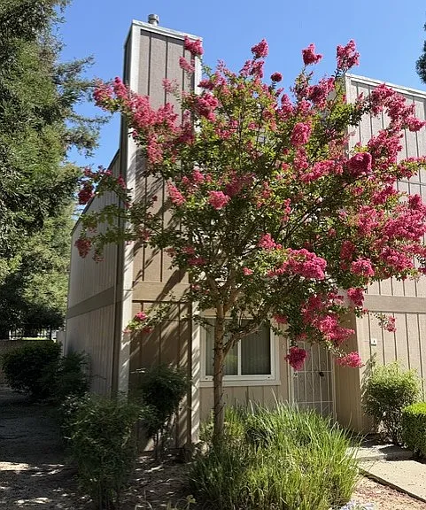 7032 Fair Oaks Blvd #4 — Photo 8