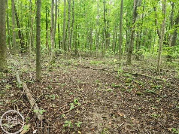 Sheridan Rd, Emmett, MI 48022