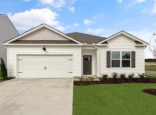 14 Spring Bloom Rd, Angier, NC 27501