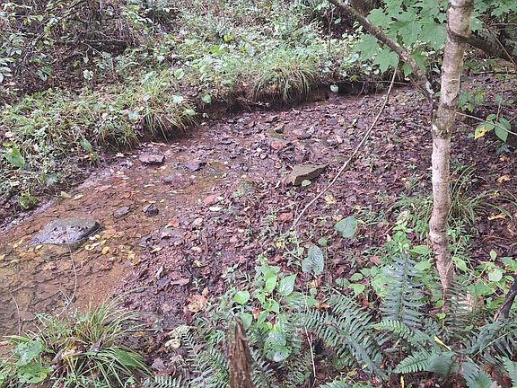 2nd image of 292-999 Short Branch Rd